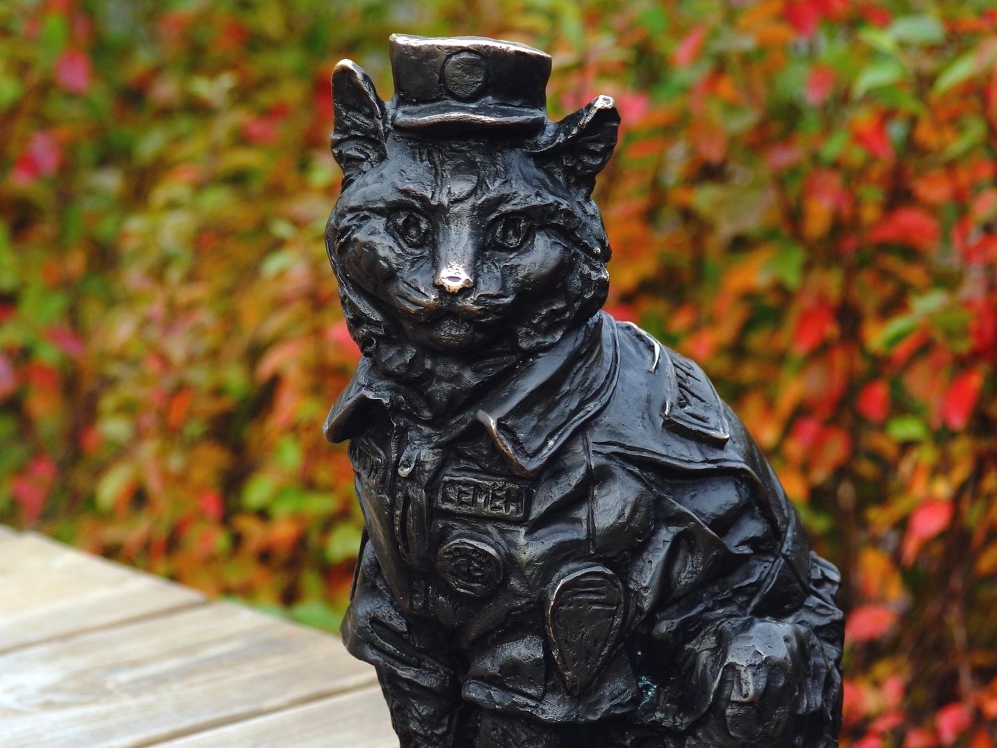 Кот-пожарный Семён