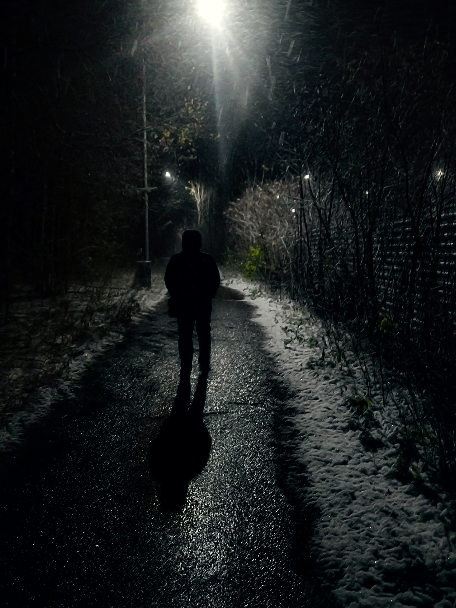 Прогулки с одиночеством