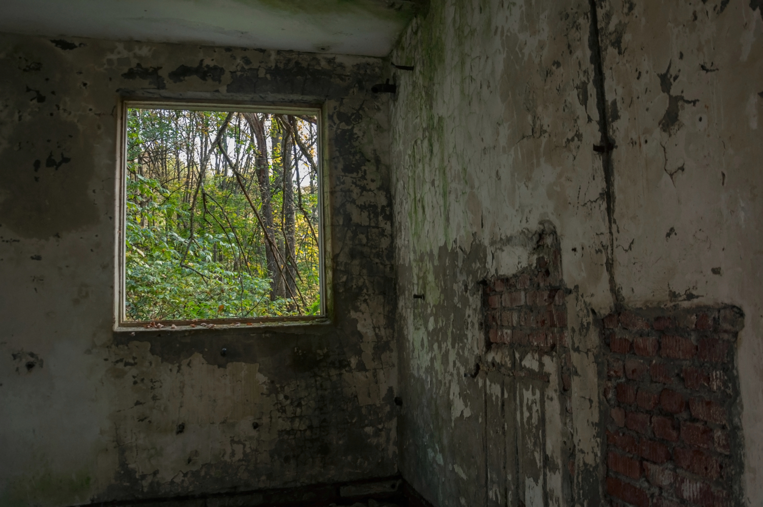 Осень жизни