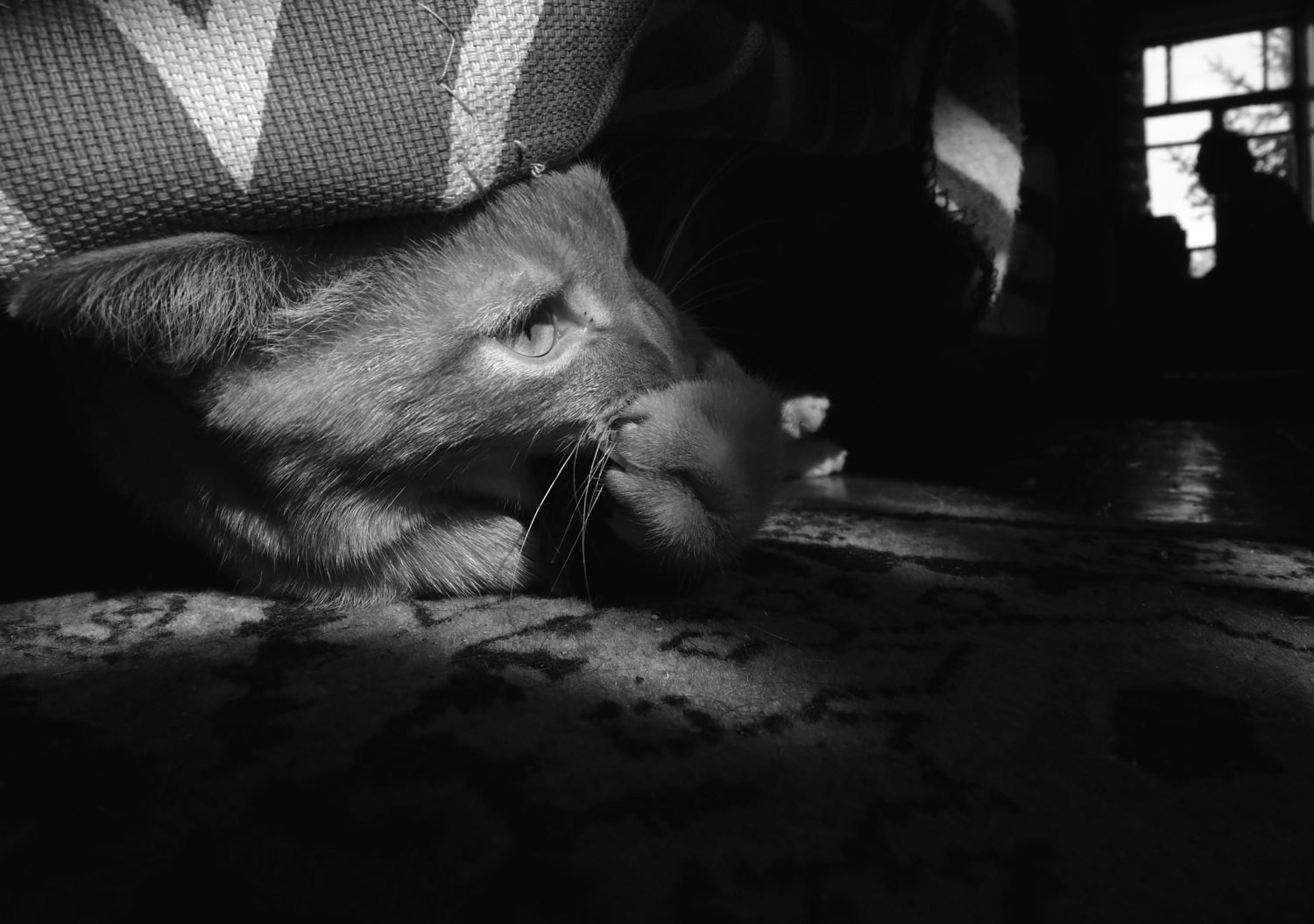 А вдруг не мягкий?