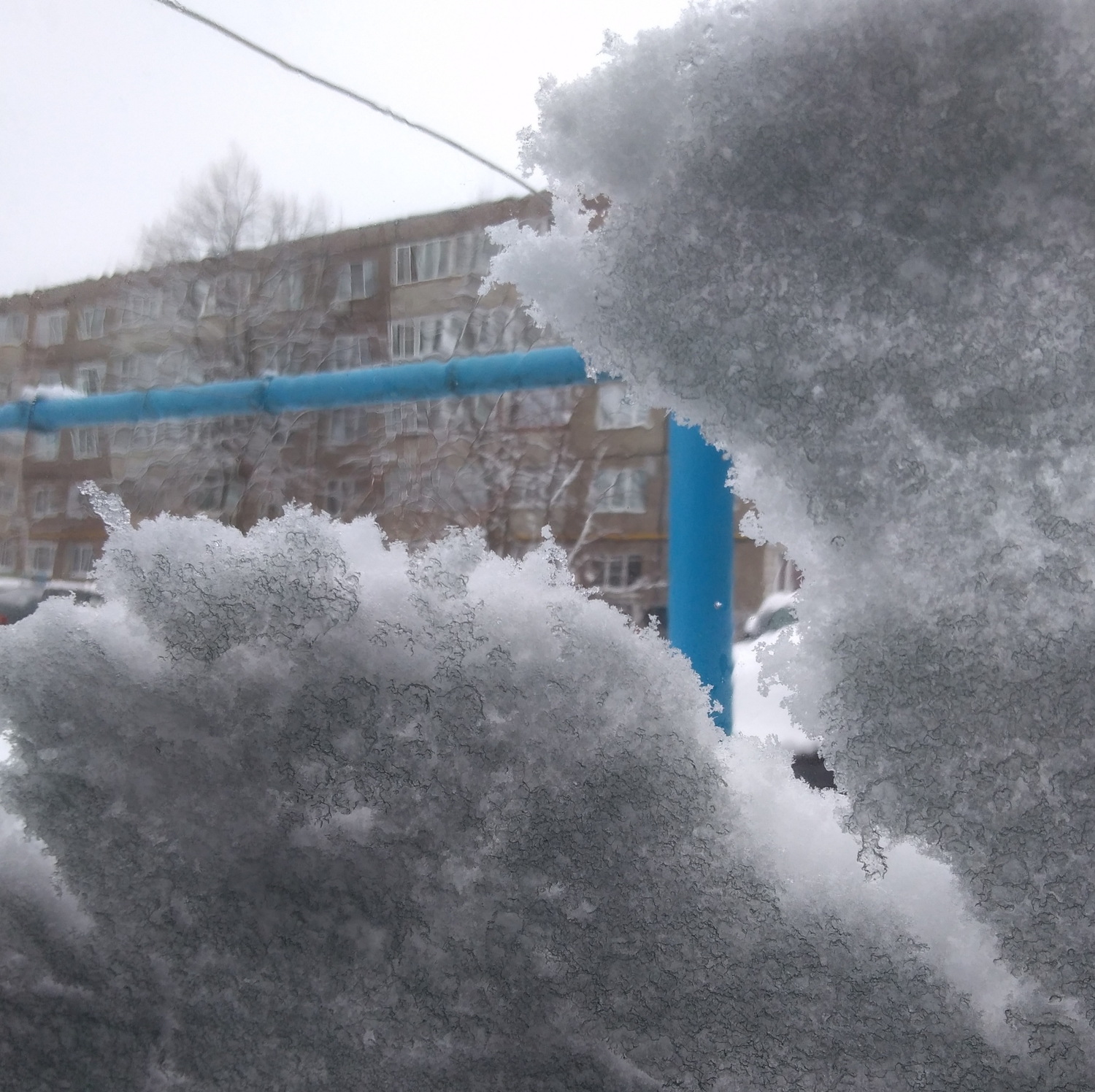 Драма на лобовом