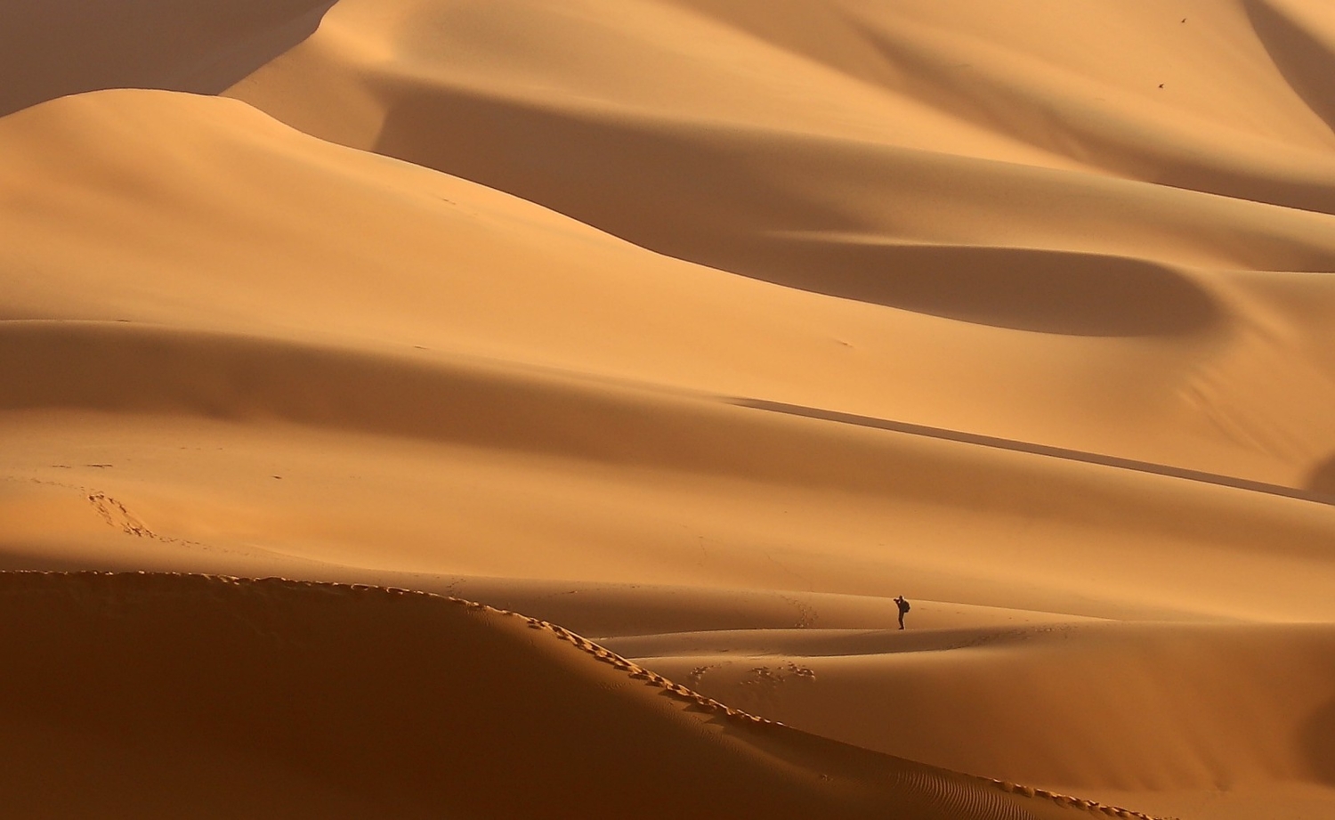 Мягкие линии Сахары