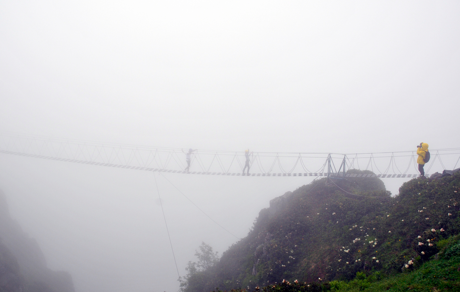 Из тумана к свету.