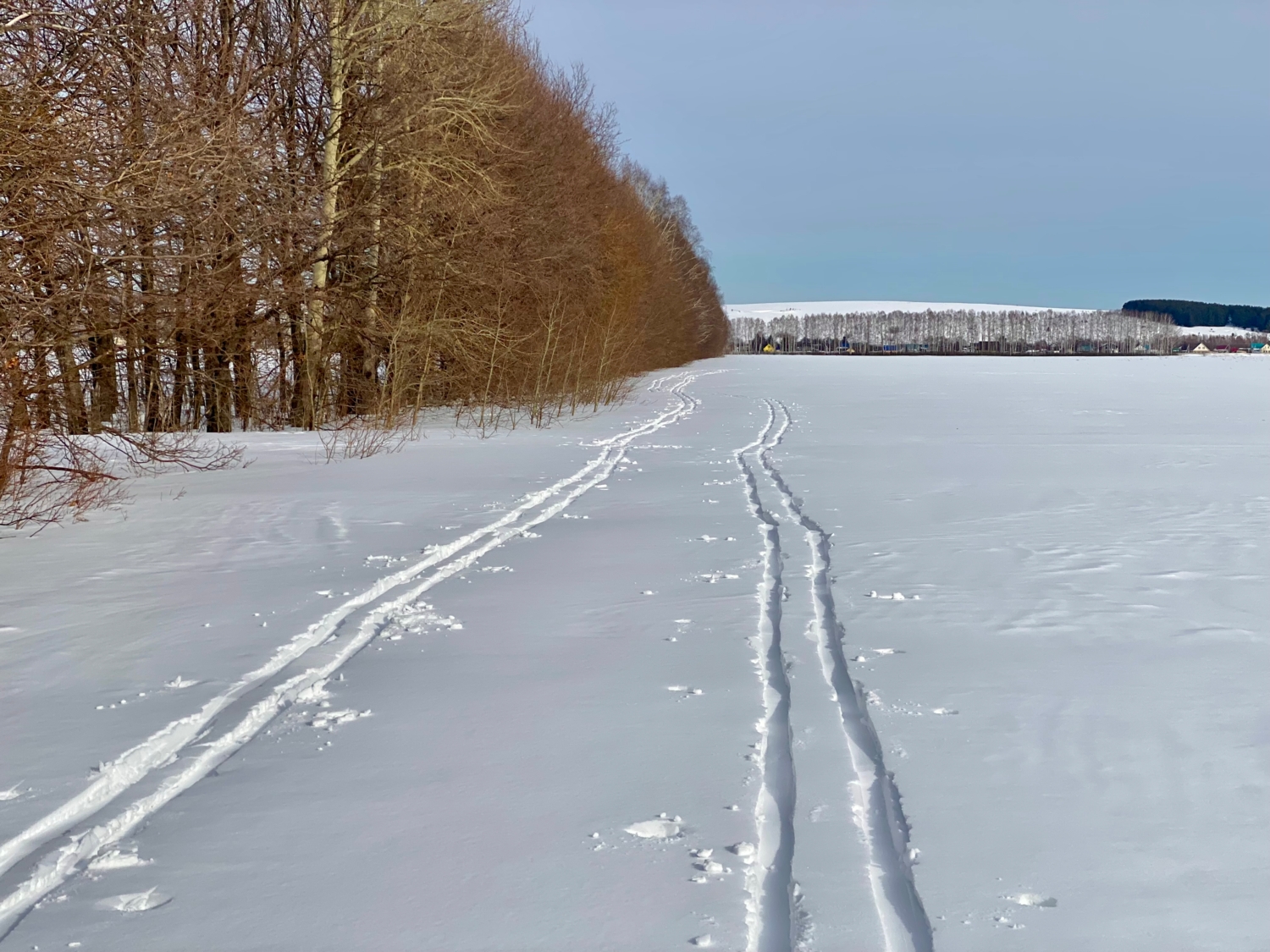 По мягкому полю …