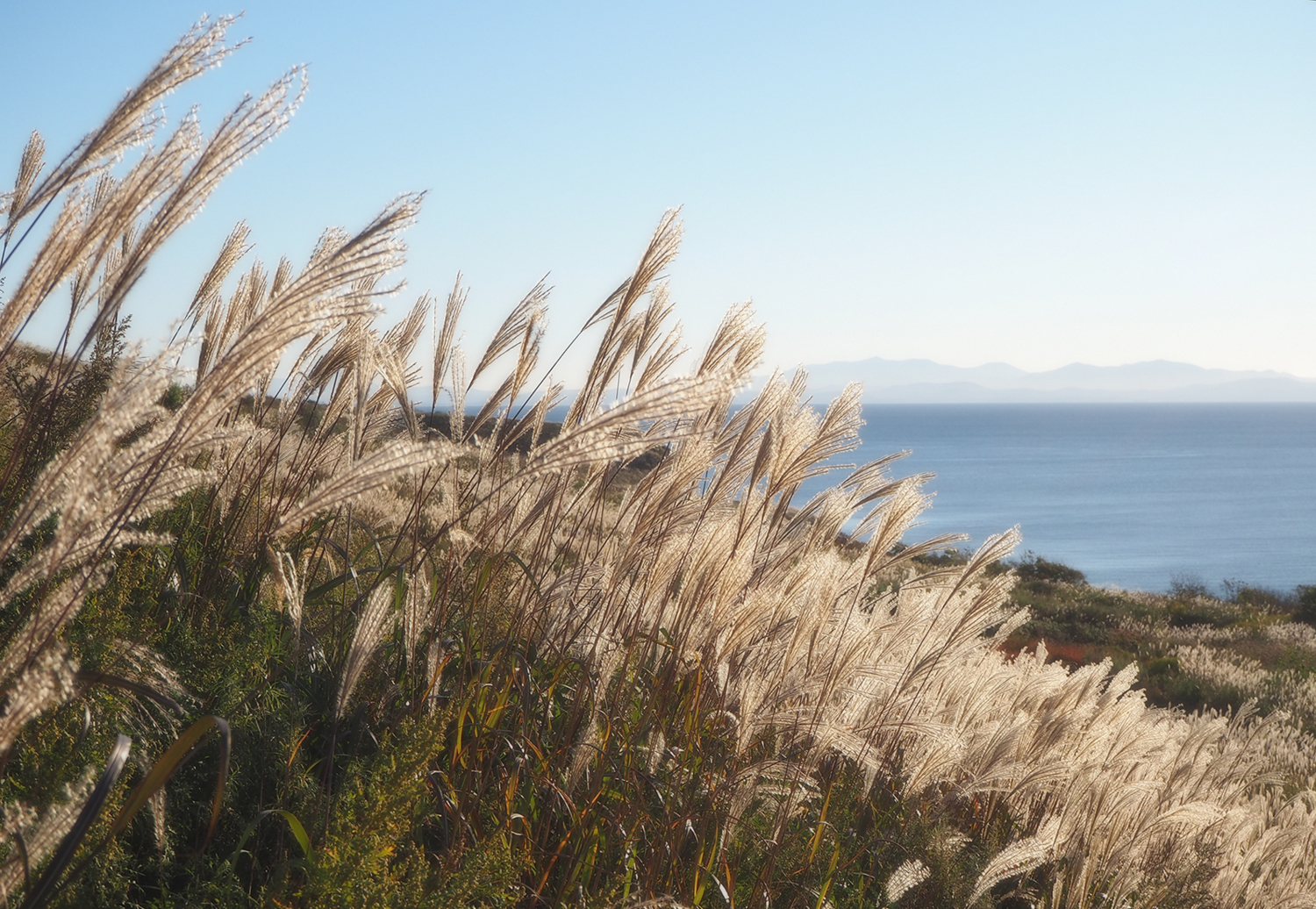 Приветствуем рассвет