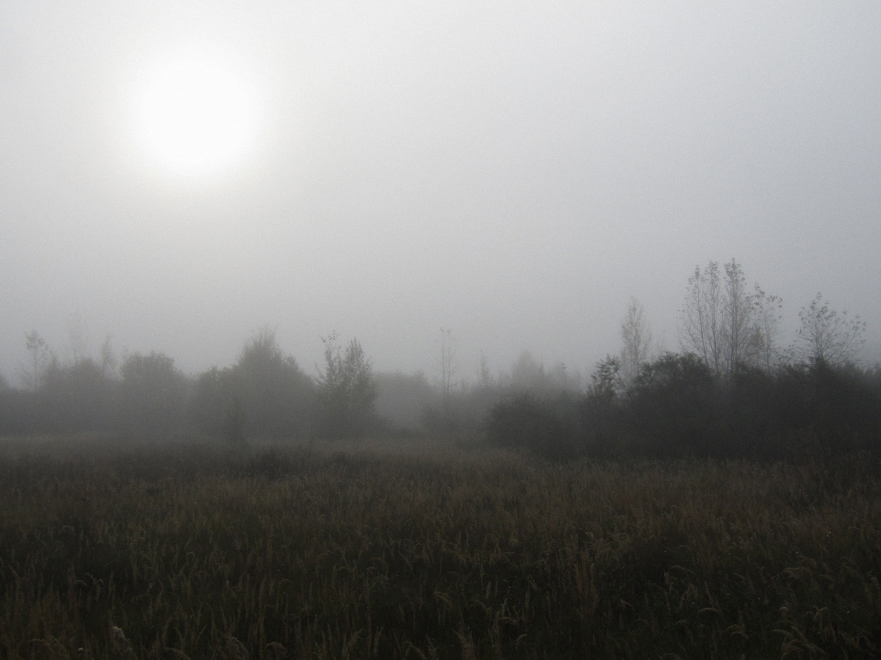 Туманный рассвет