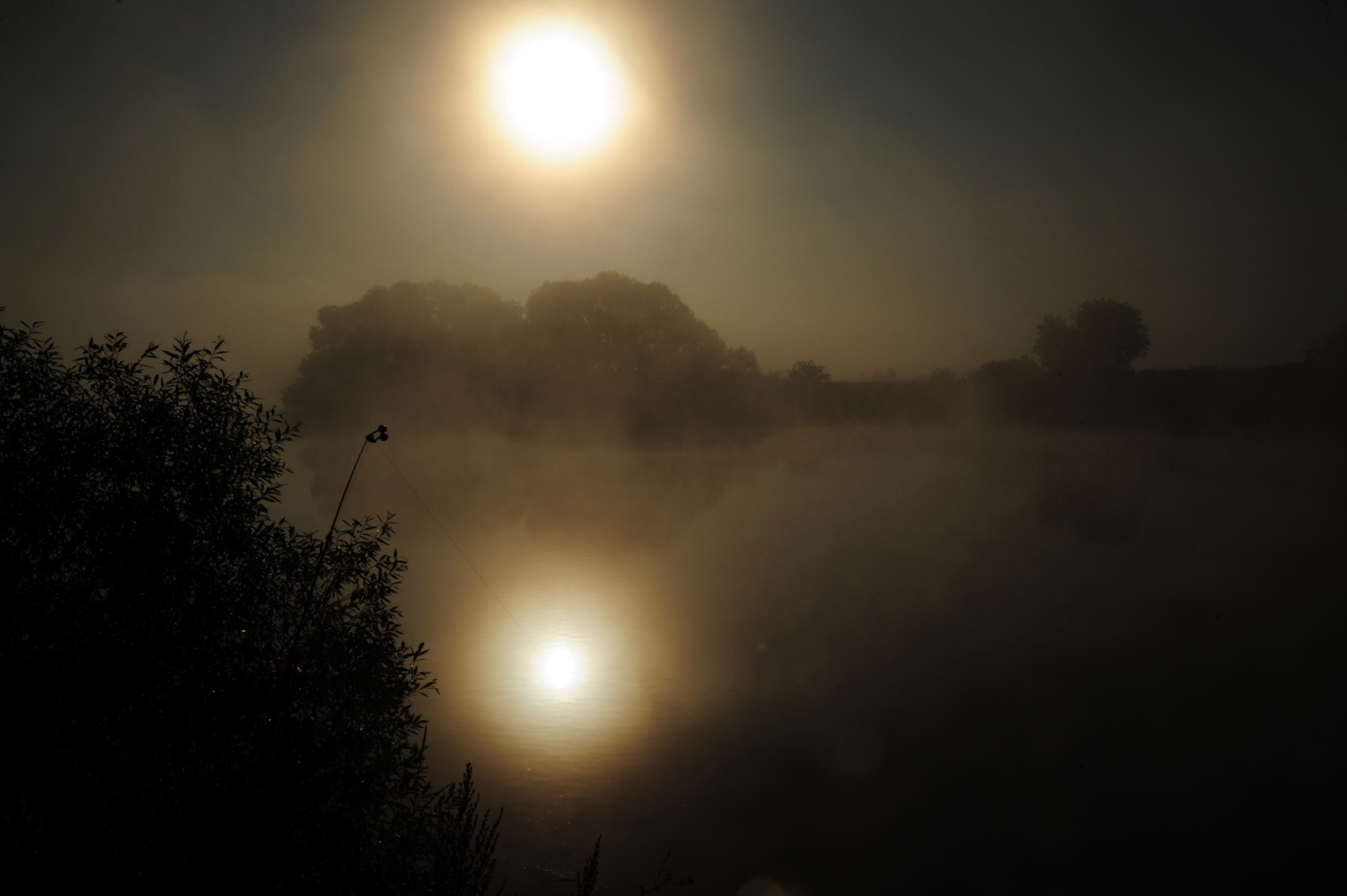 Тишина на берегу реки