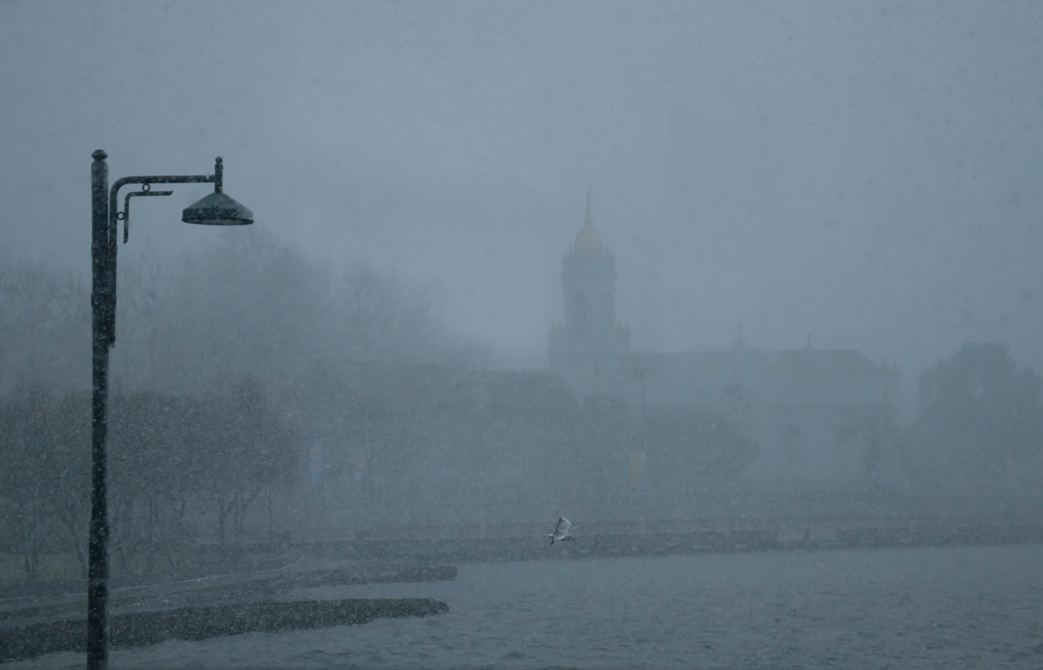 Прорываясь сквозь метель