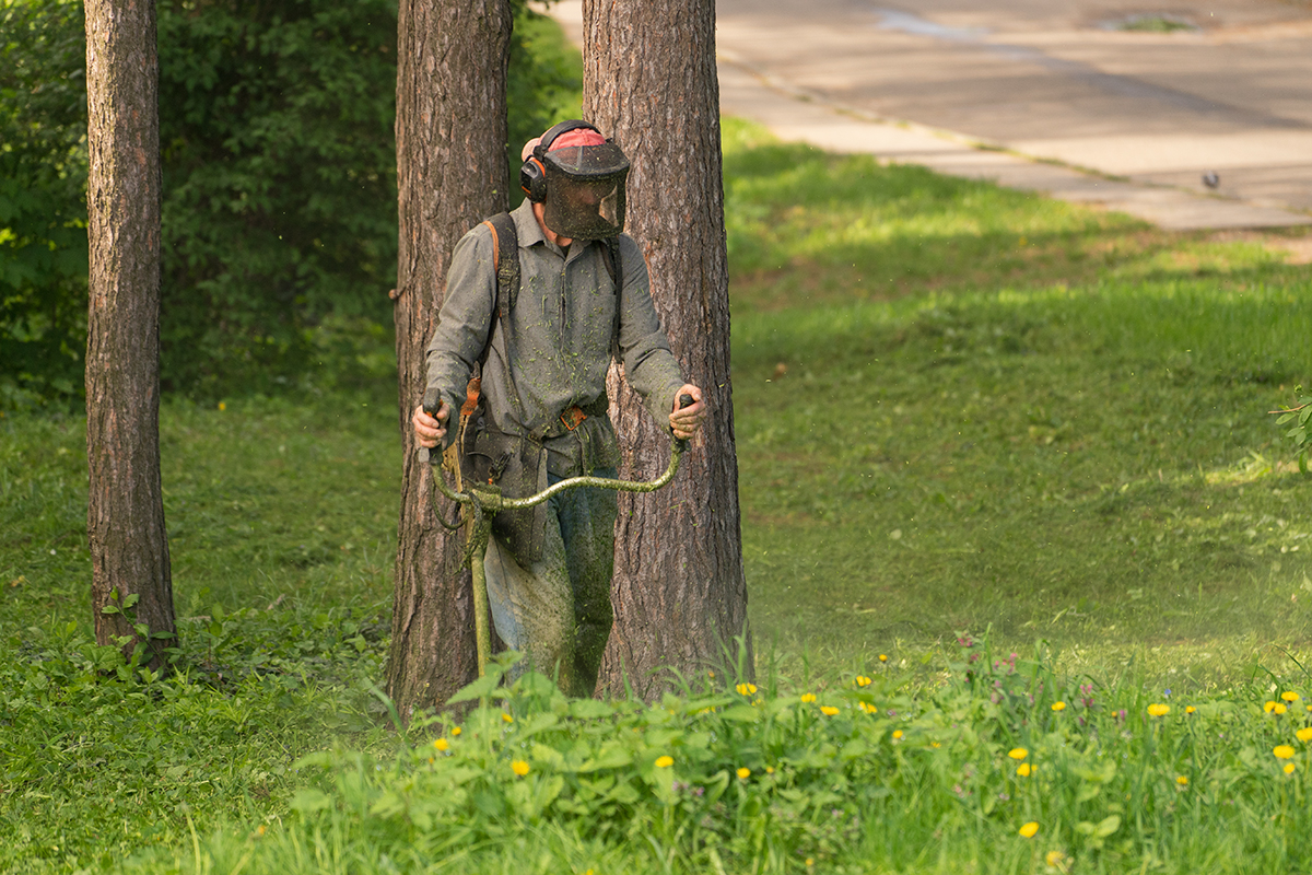 В городском парке