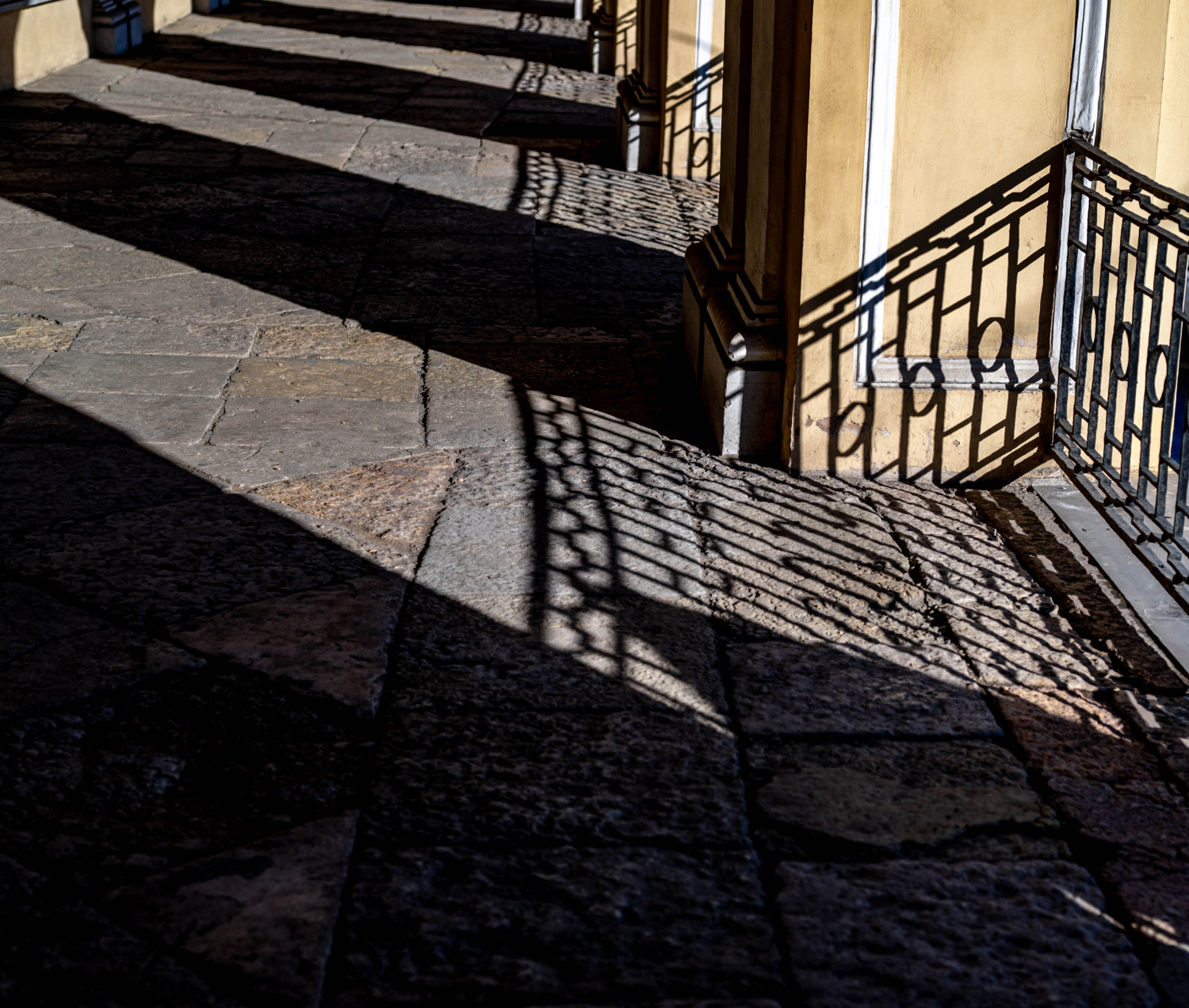 Жесткий, но рисующий ... или Тень через плетень