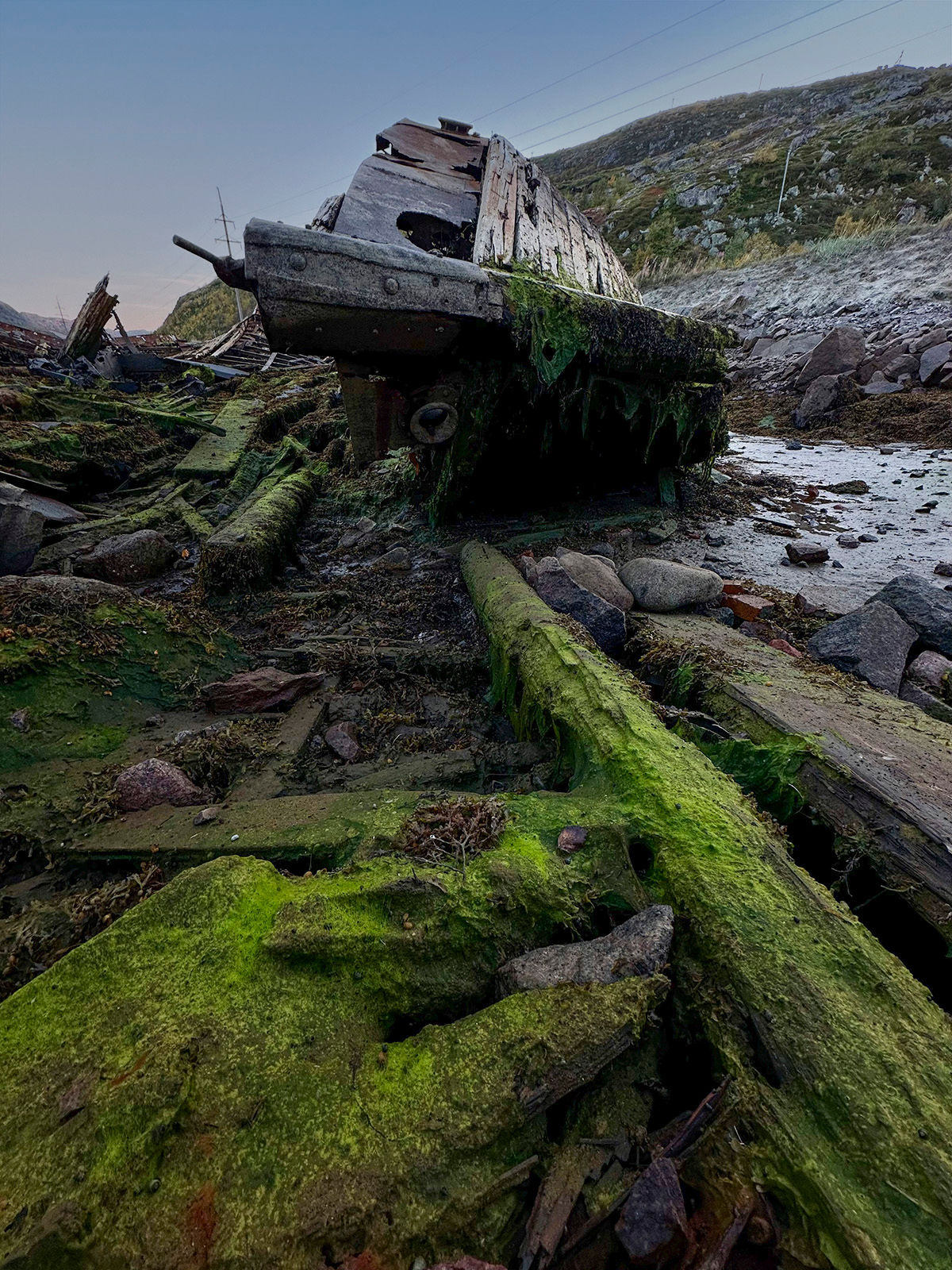 Выброшенный