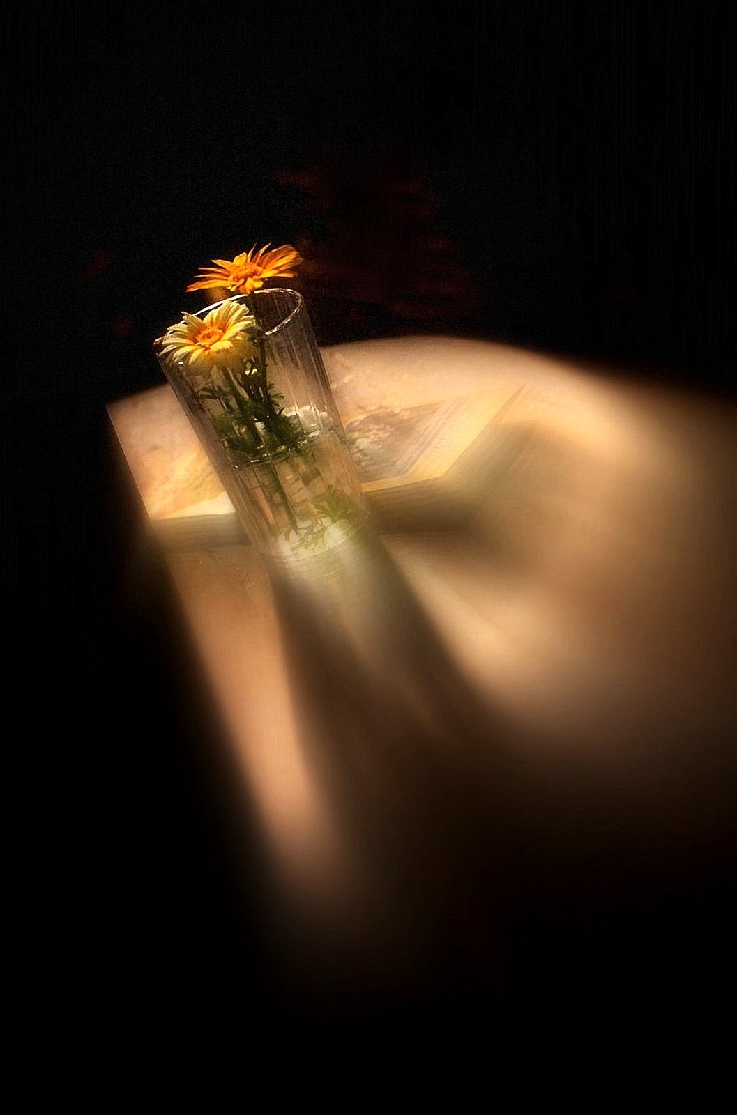 Ну, полетели!)