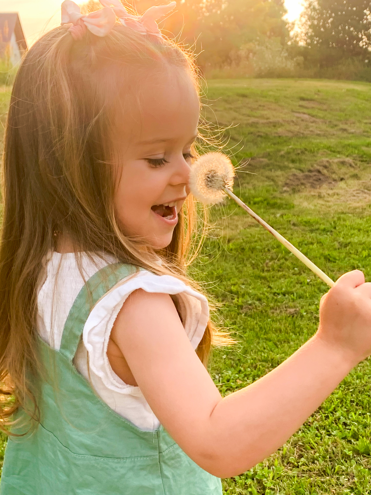 Летние радости