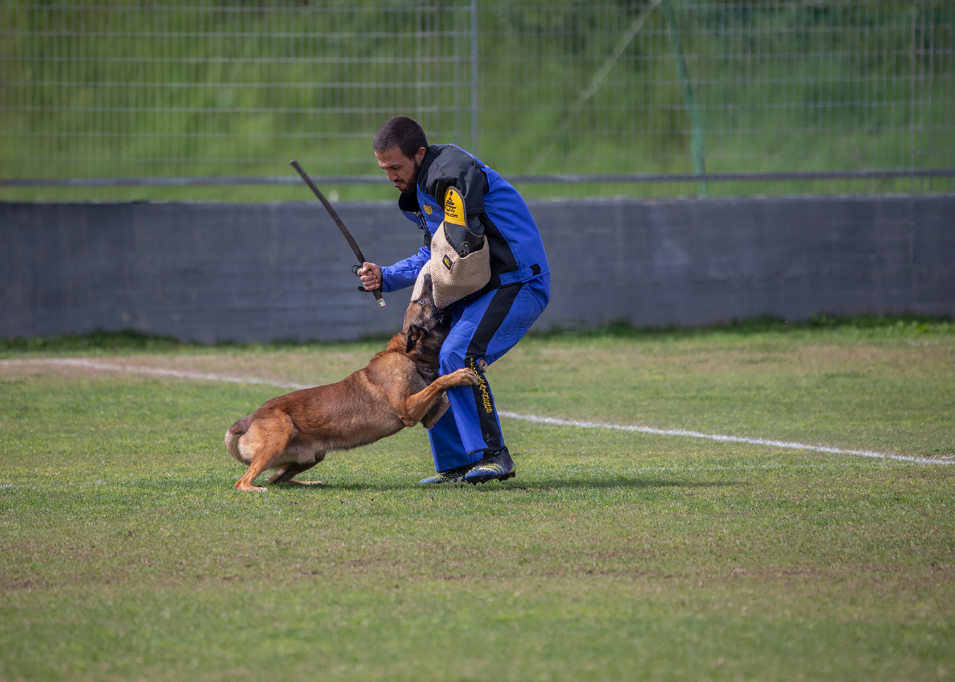 Жёсткая хватка