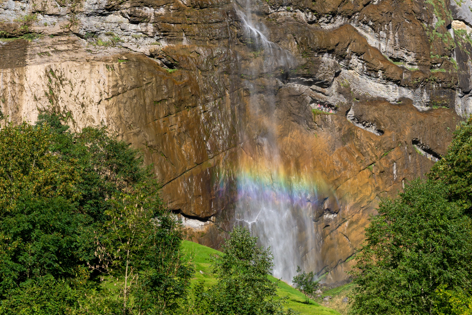 кто бы подумал