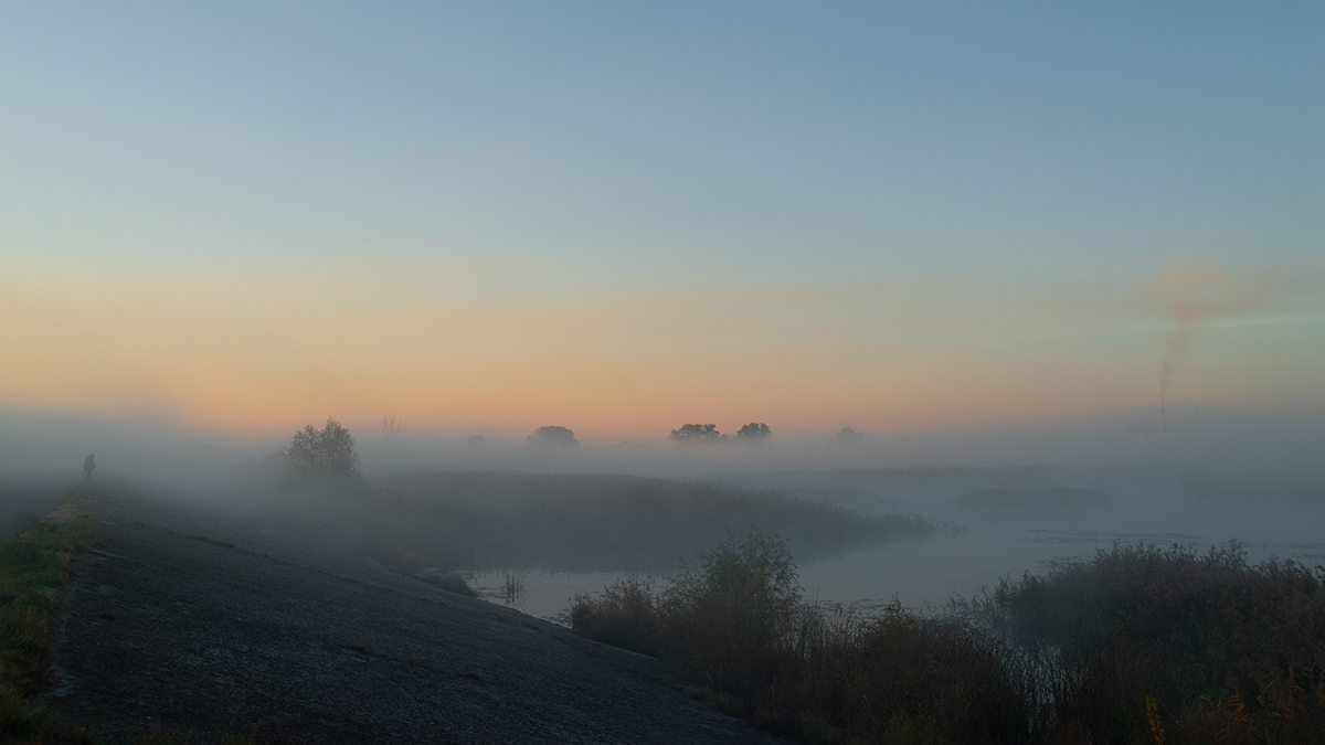 Бродящий в тумане