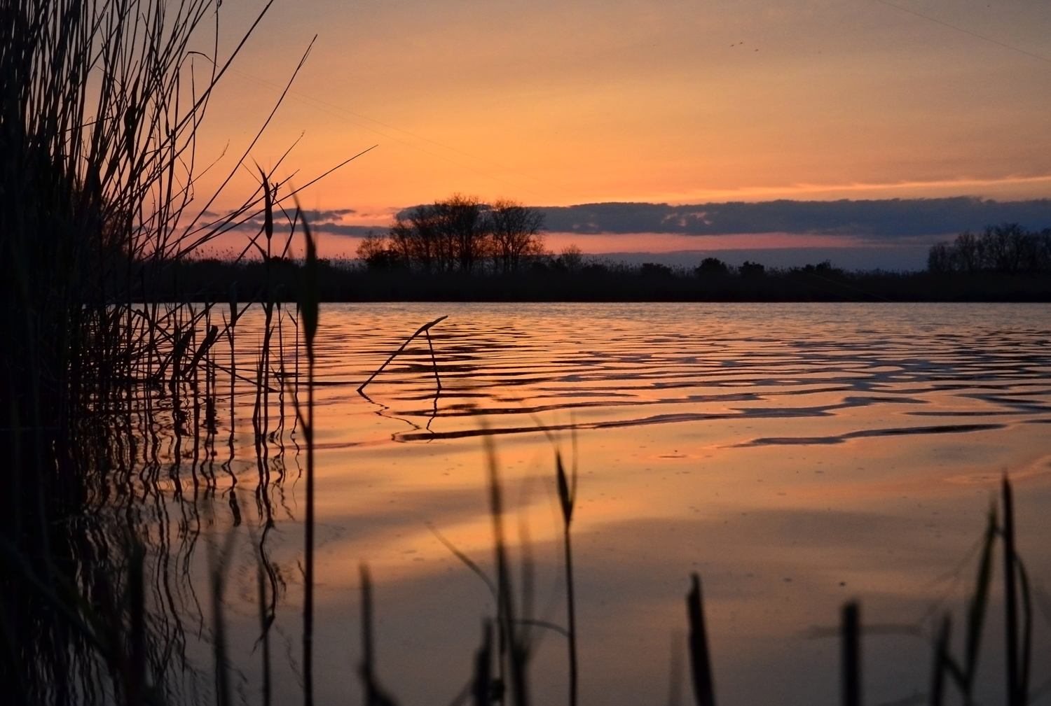 вхождение в ночь