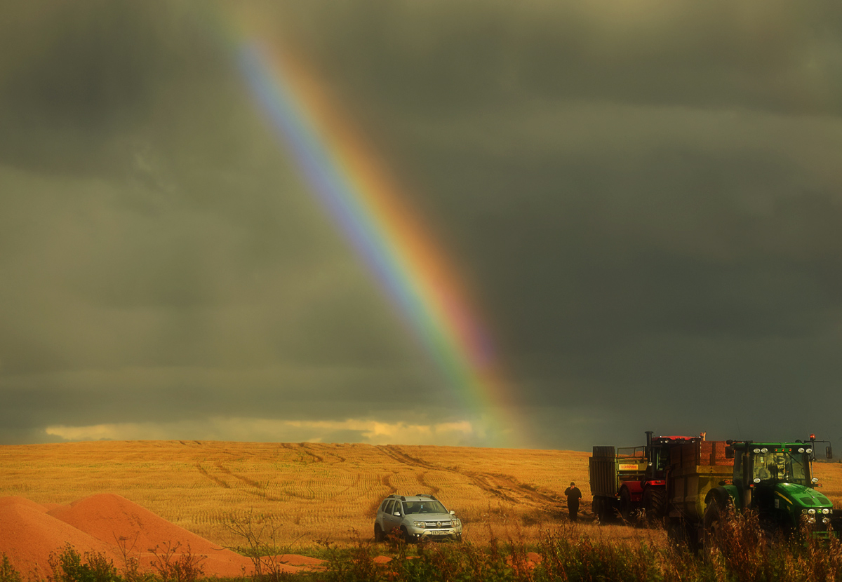 В поле собран урожай