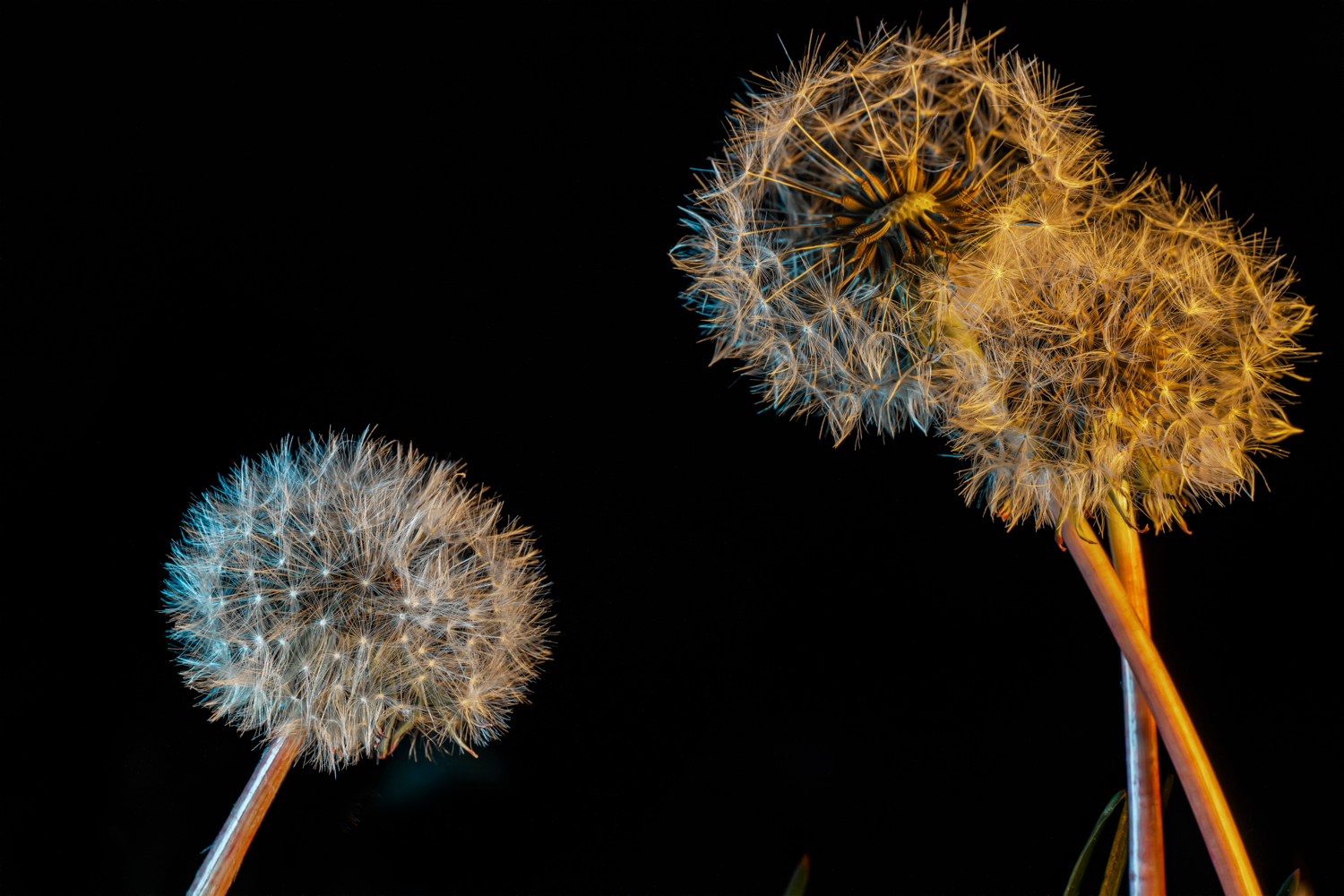 Жёсткий "семейный разговор"
