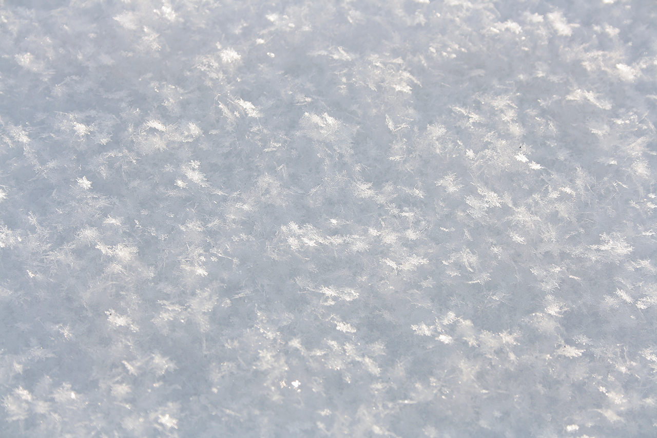 Первозданная мякоть