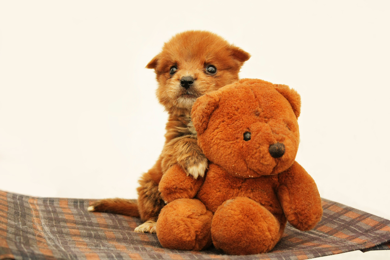 Двойная порция мягкости