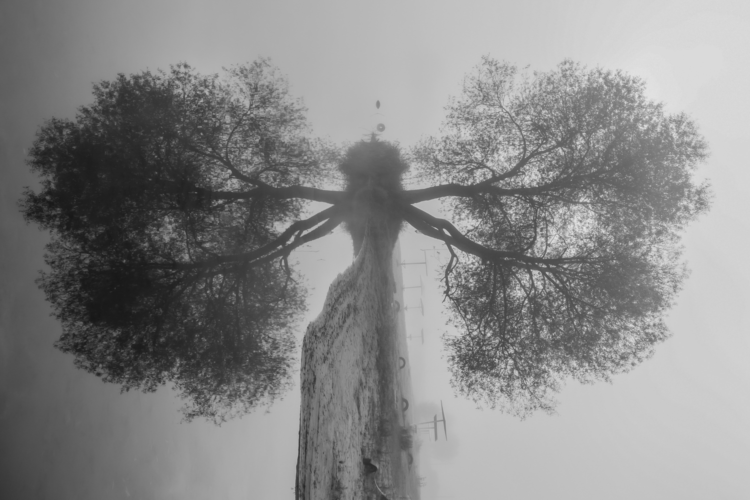 Привиделось...