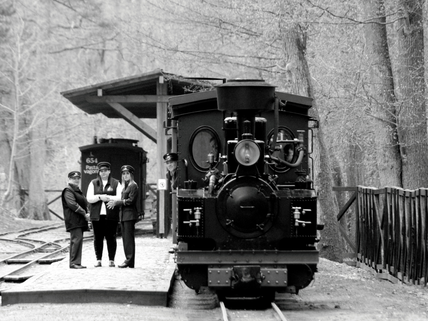Бригада экскурсионного поезда перед рейсом.