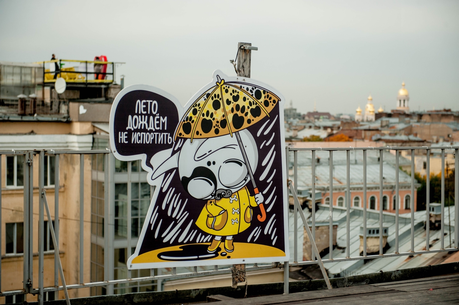 Это точно! Дождём..под дождём..на крыше