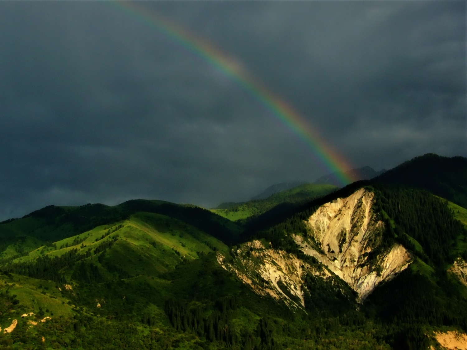 Над горами,над лесами