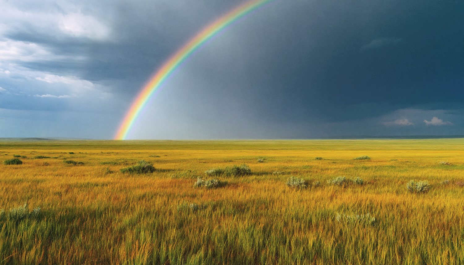 После грозы