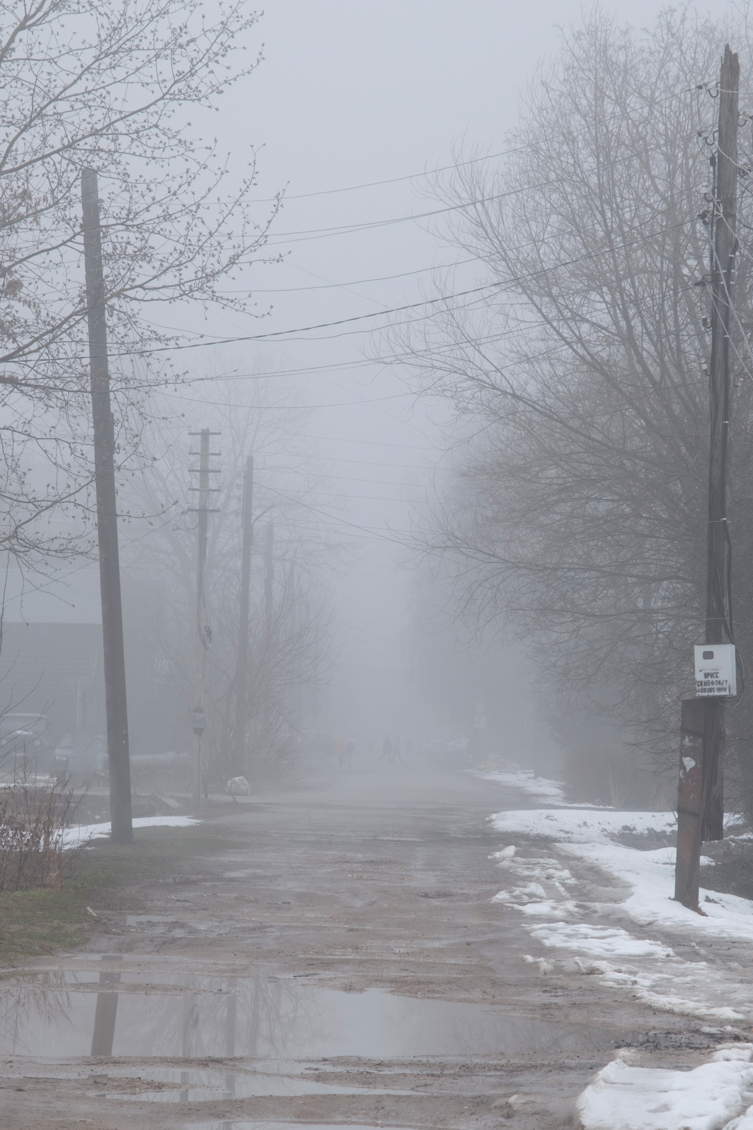 На дороге люди