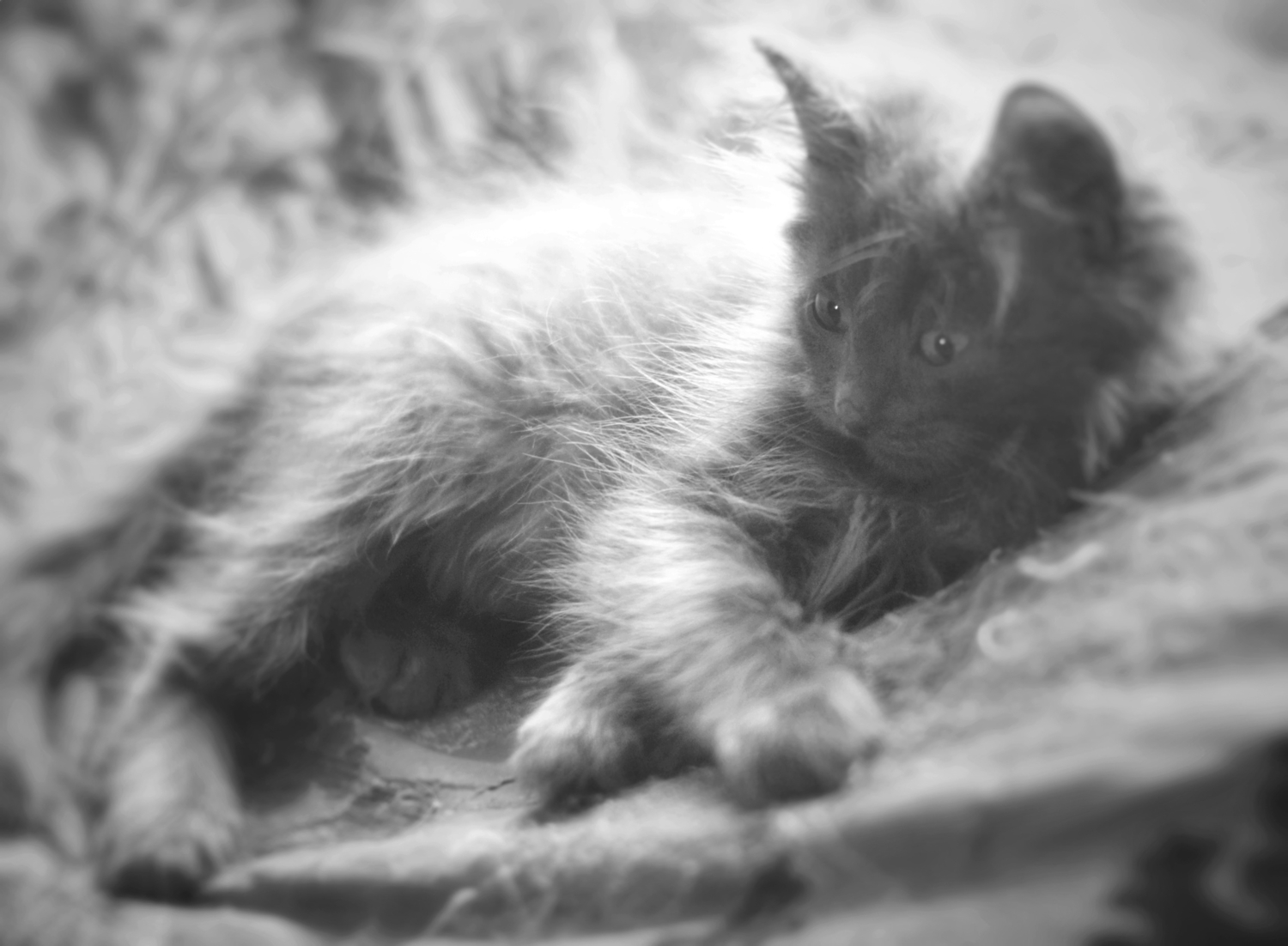 Детство Саны