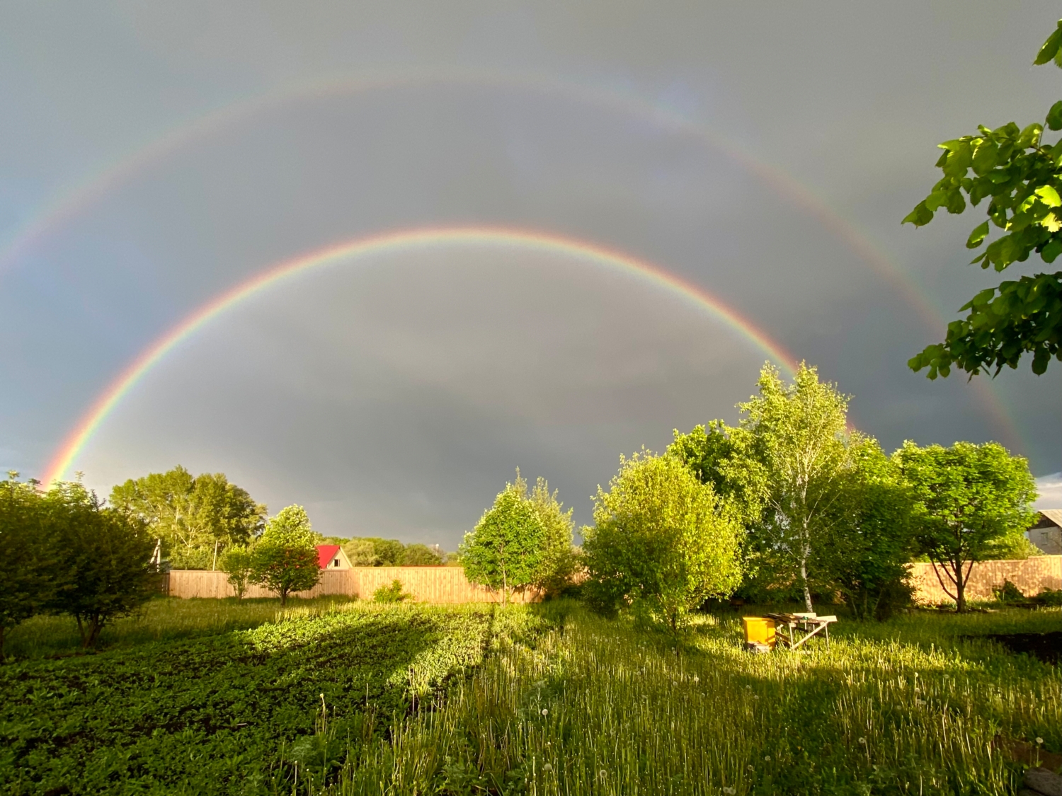 Перед грозой