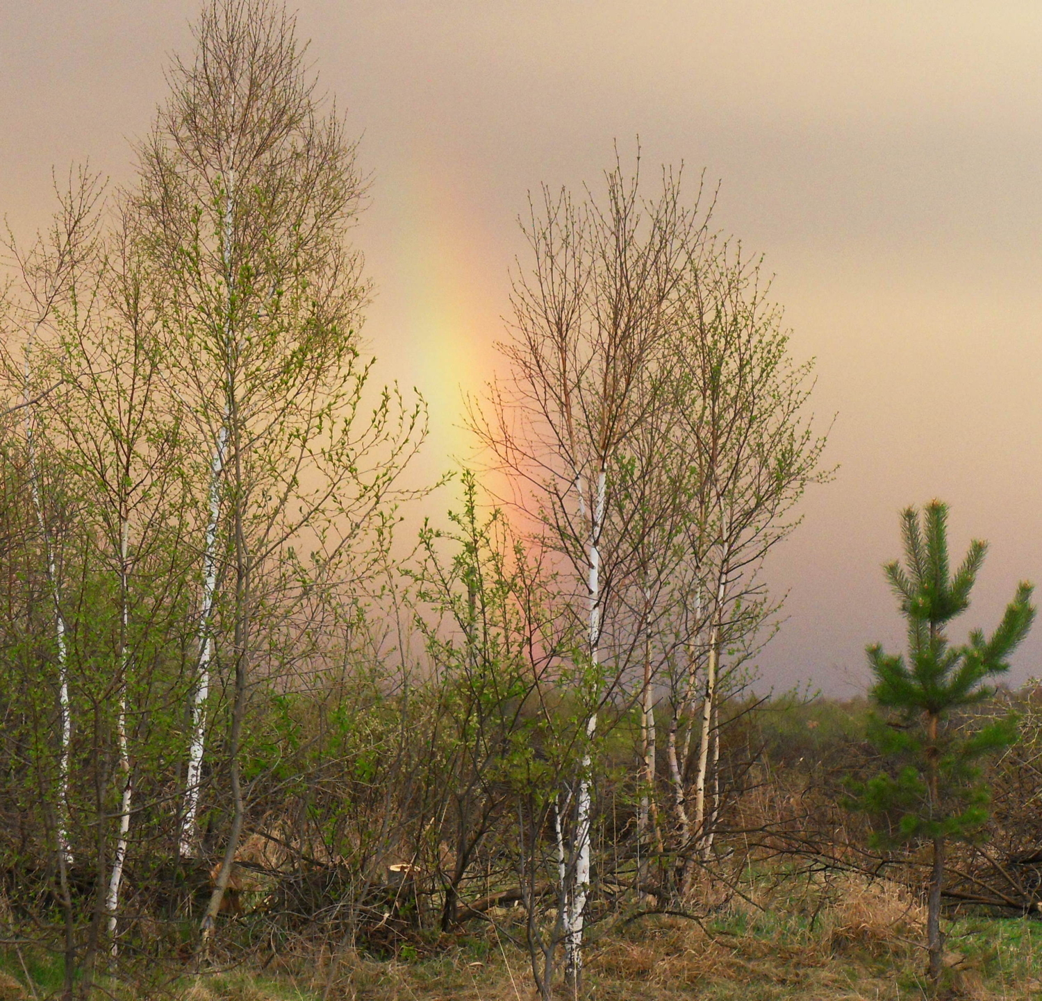 Рождение радуги.