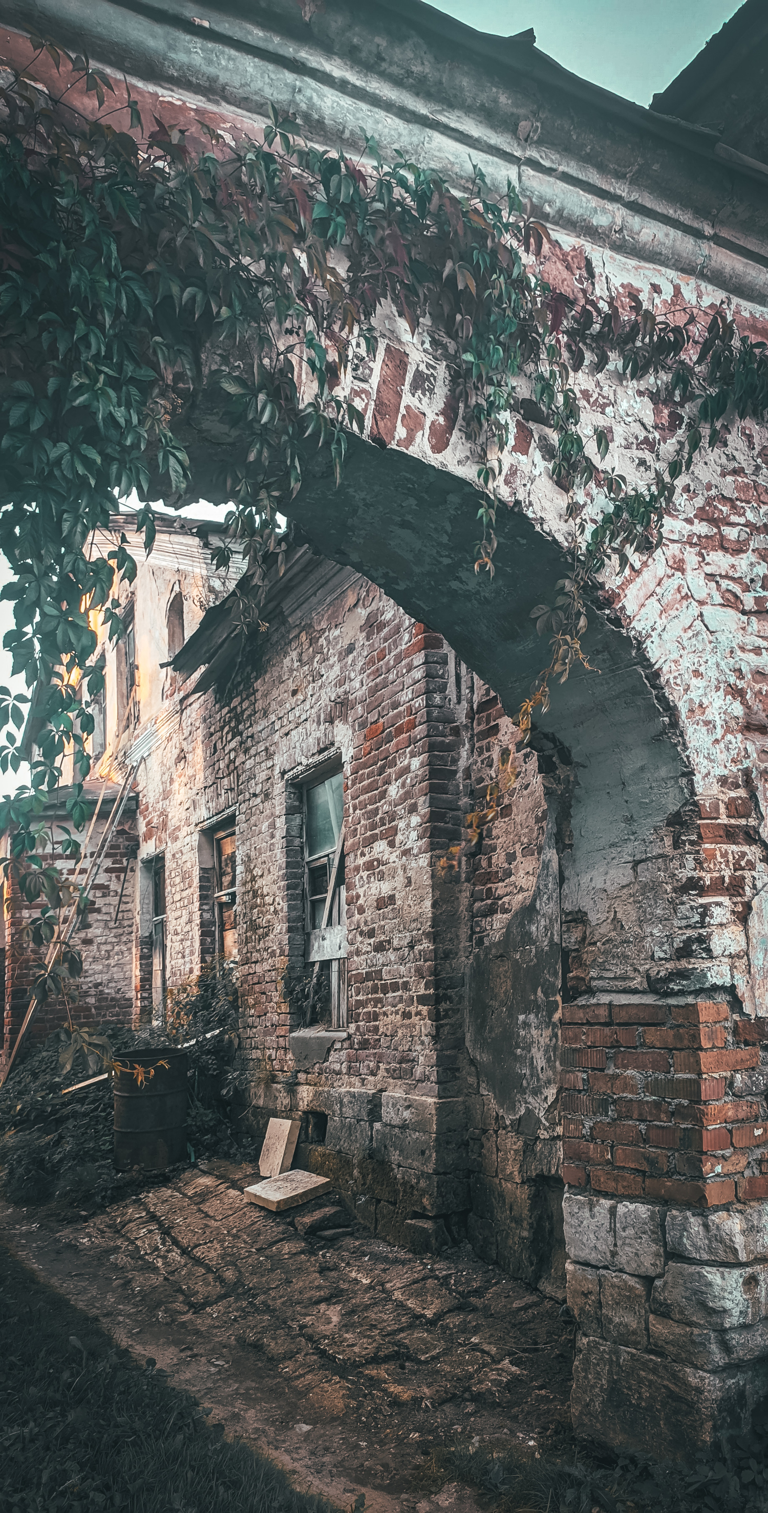 В плену у плюща