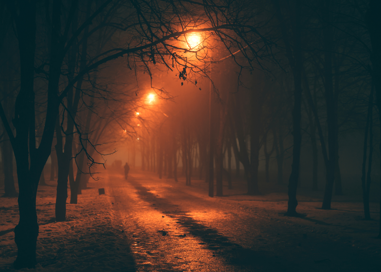 В старом парке