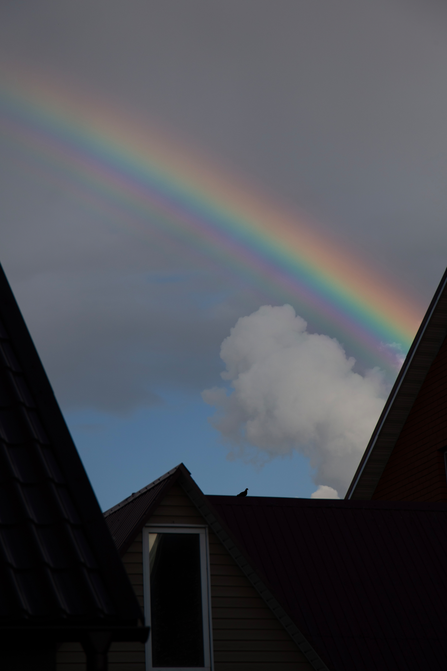 Над крышами