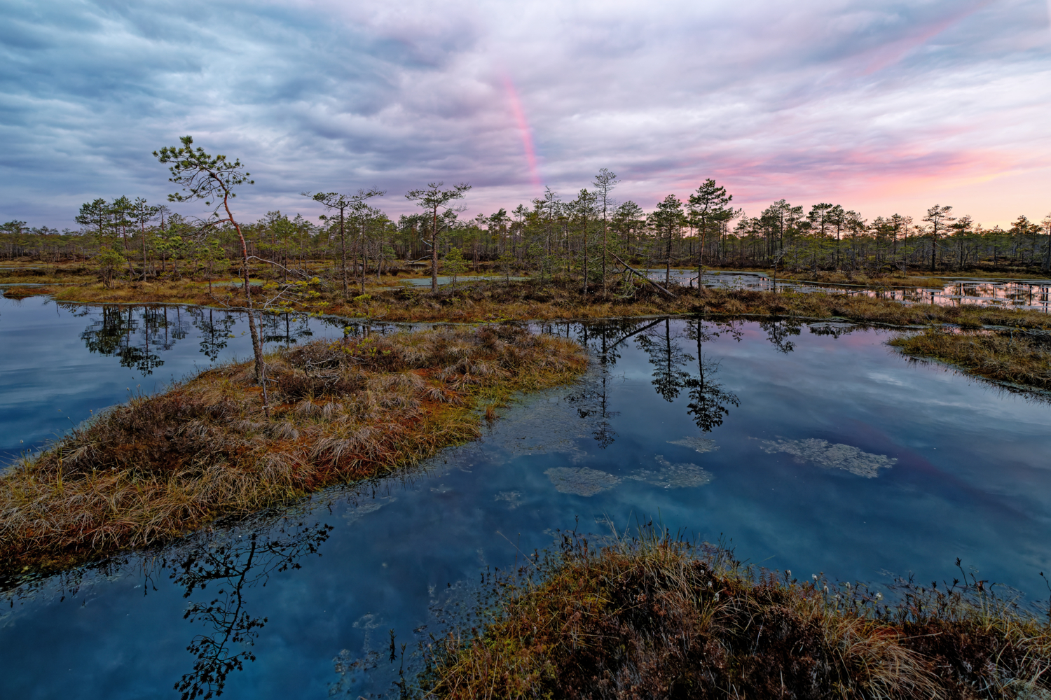 Малиновый фреш