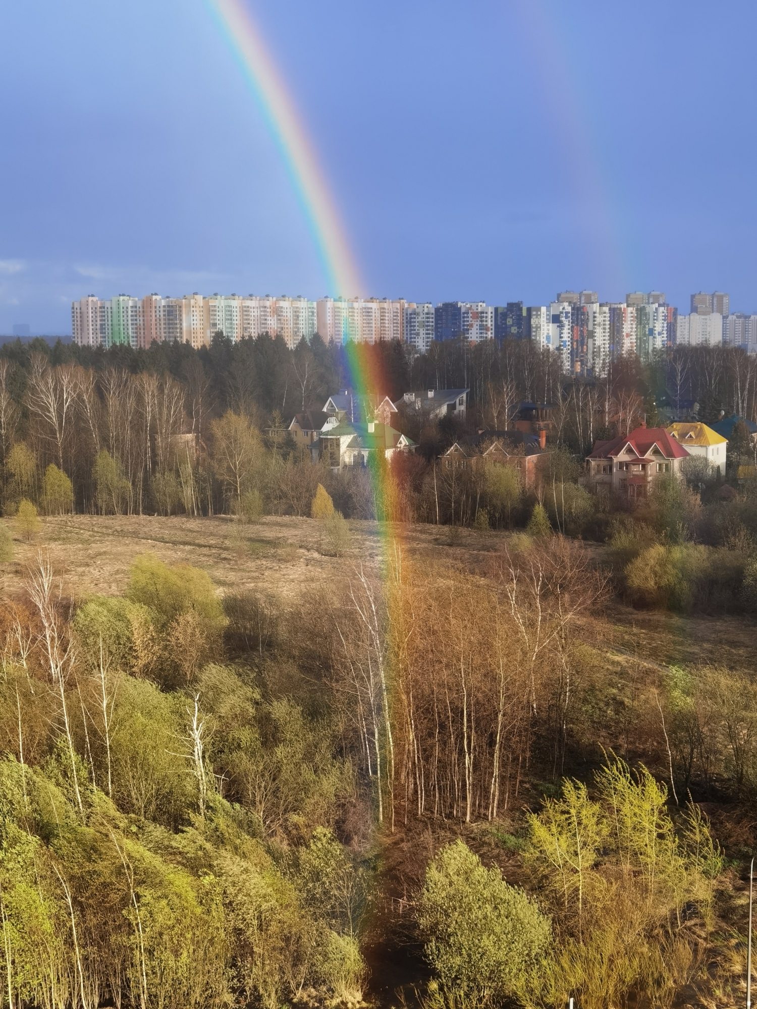 Красота из окна