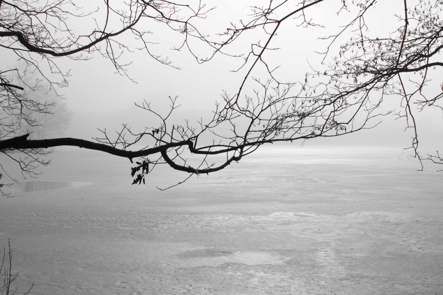 Там за туманами