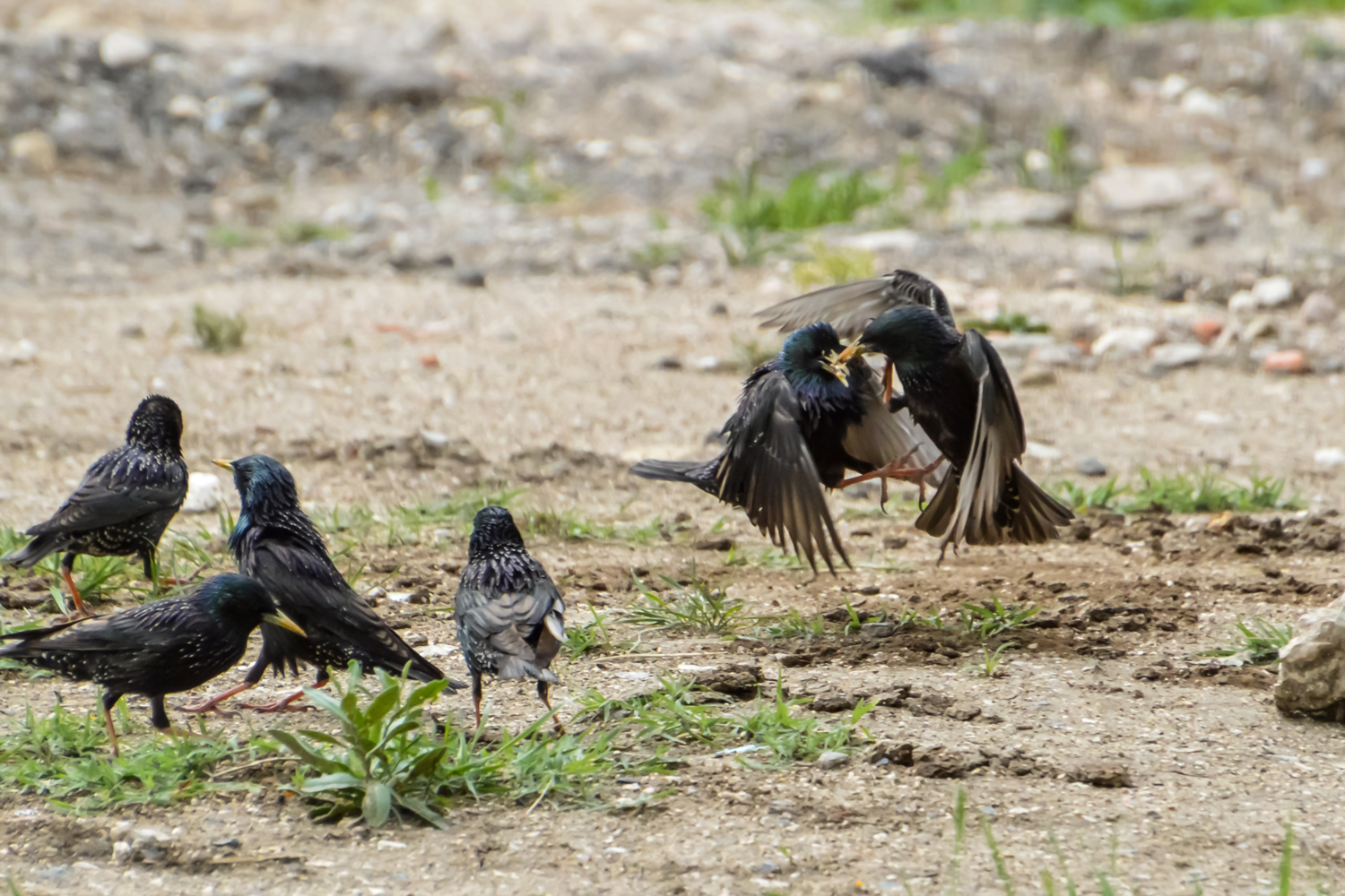 Жесткий захват