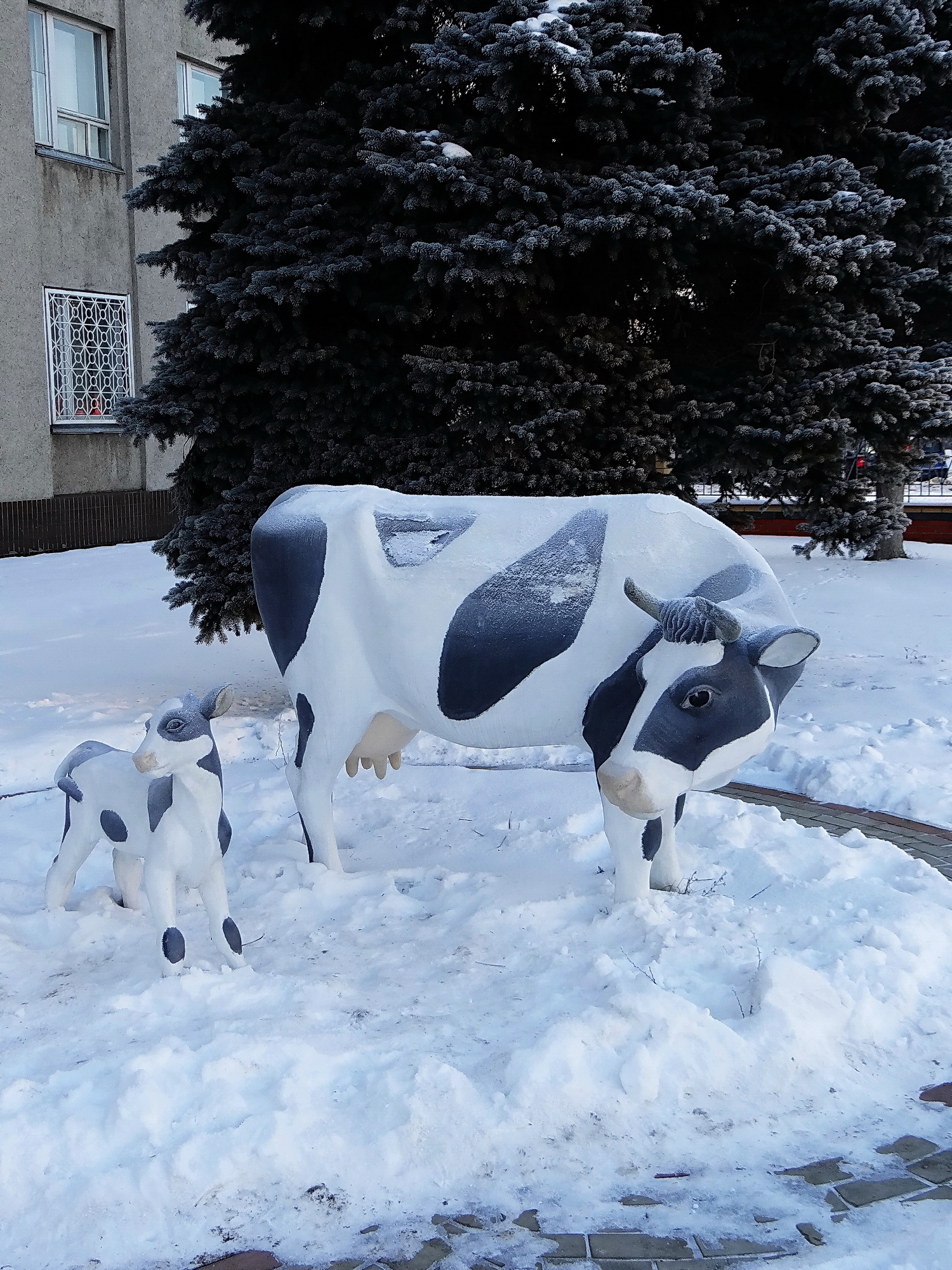 " - Да чё-то вымя у тебя жёсткое!"