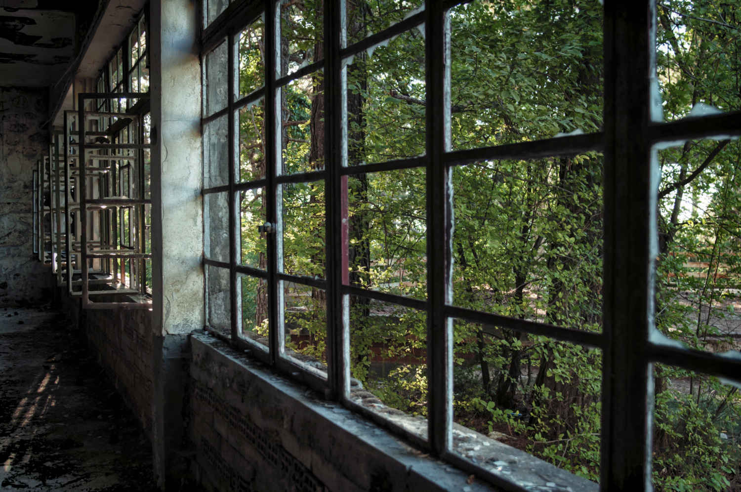 Здесь бывали герцоги и короли