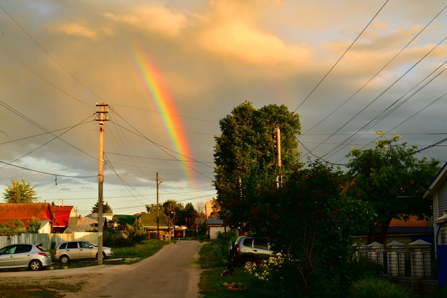 Запуталась в проводах