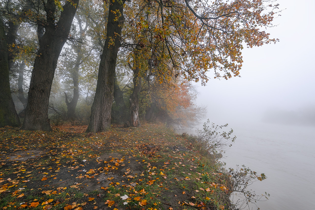 Над рекою ...