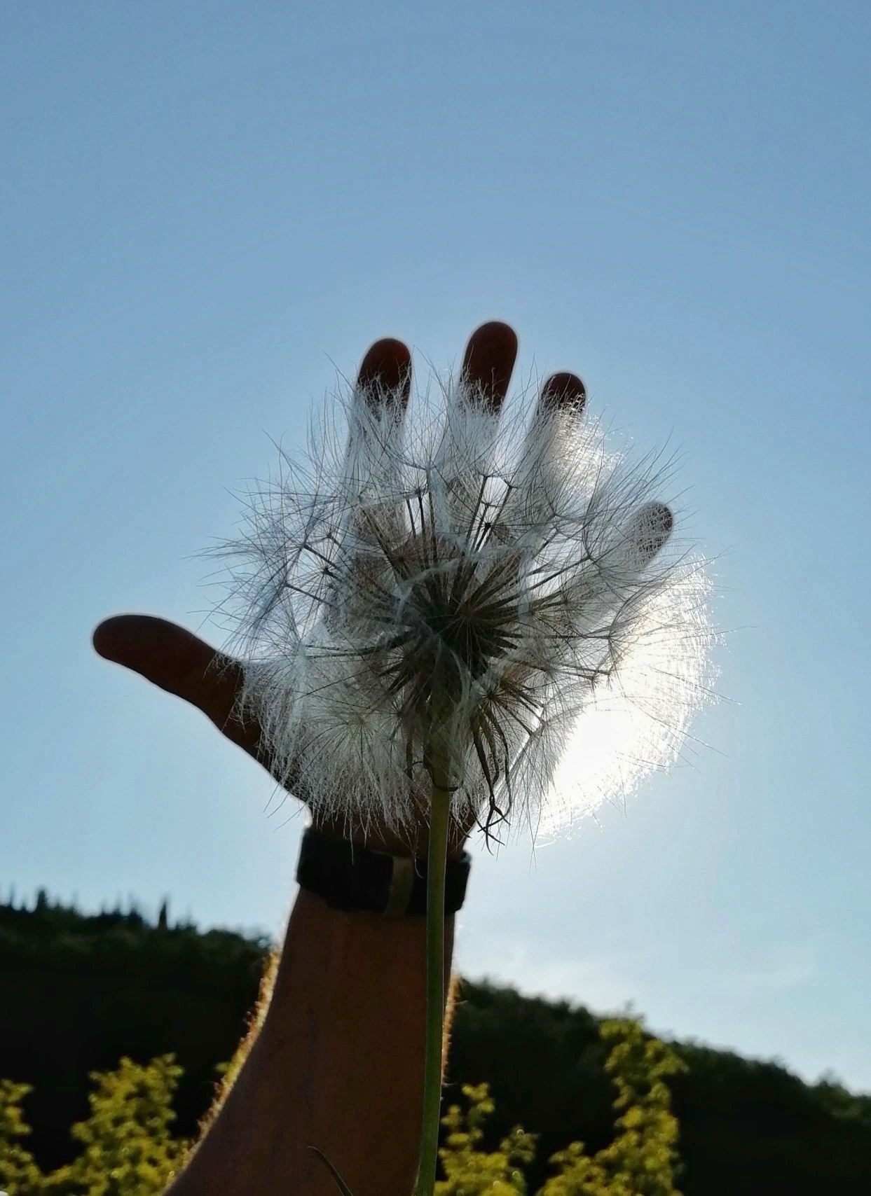 Мягкий, пушистый, огромный.