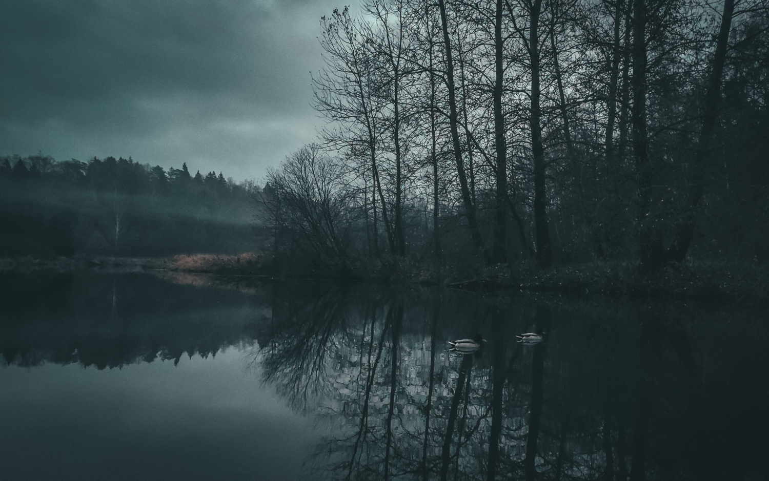 Туманное озеро