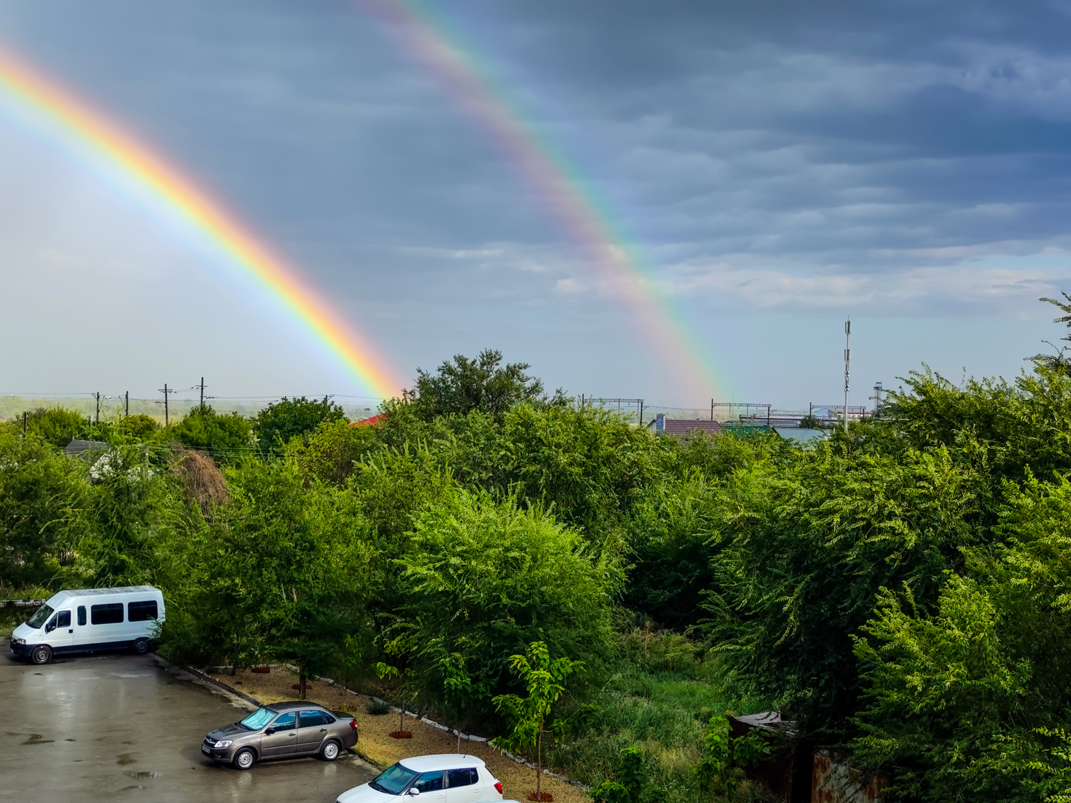 После дождя