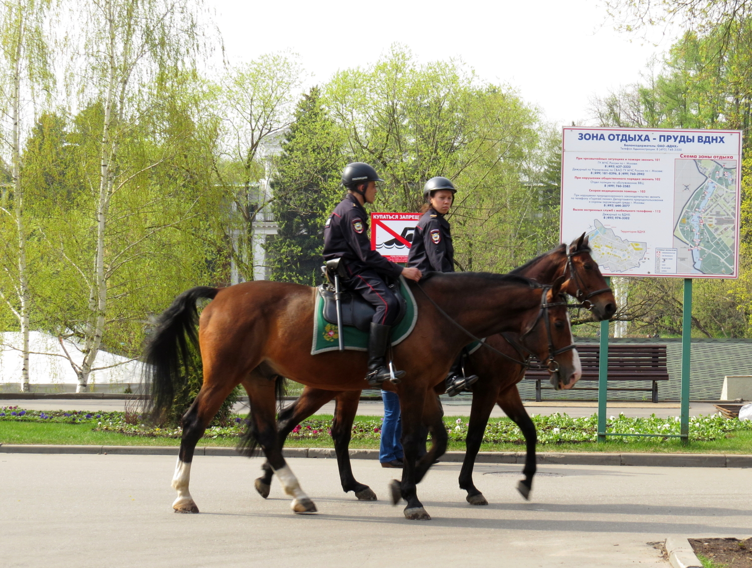 Дневной дозор