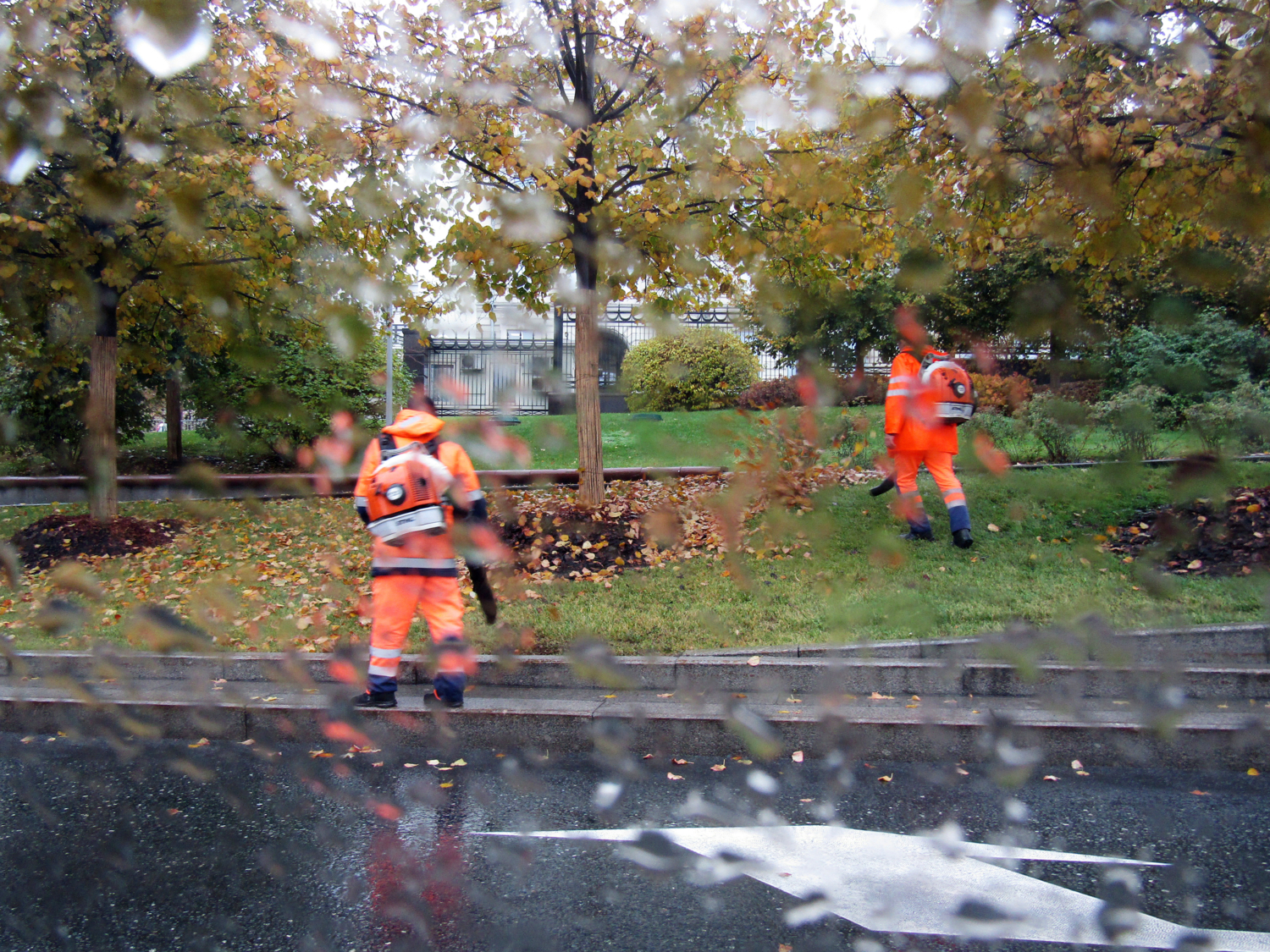 Раздувающие осень